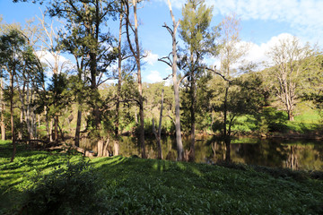 Fototapeta na wymiar Australian River