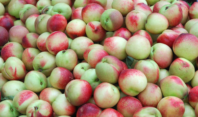 close up on fresh peach as food background