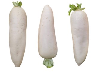 White Chinese turnips on white background.