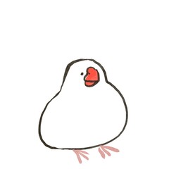 白背景に白文鳥