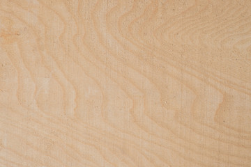 Wood texture background surface with old natural pattern. Texture of wood background close up. Top view. Copy space.