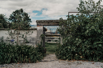 Obraz premium old dor 