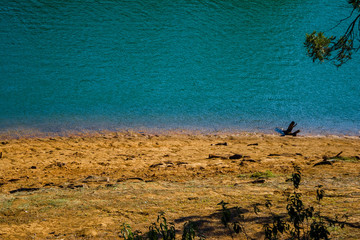 Pykara Lake is a popular getaway that is at a distance of about 20 kilometres from Ooty, in the...