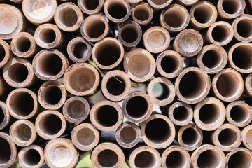 Ecological bamboo straw or bamboo tube for design.