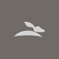 Premium rabbit logo design