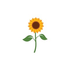 Sunflower vector design