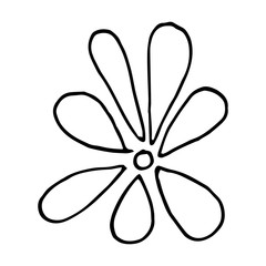 Flower drawing. Vector hand-drawn doodle illustration