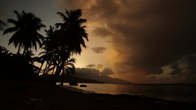 Vibrant Gold Tropical Timelapse with Palm Tree Silhouettes in Dominica, Caribbean