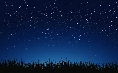 Foto auf Acrylglas starry night sky © Johnster Designs