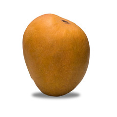 Mango fruit is tasty