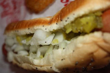 Chicago Dog