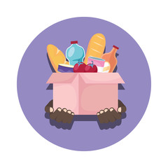 charity donation box with groceries