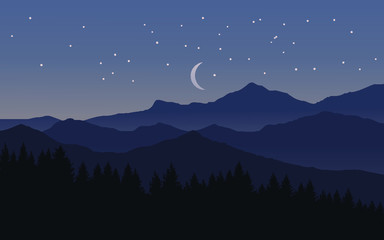 Obraz premium night landscape with mountains and pine forest