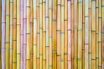 Dried bamboo stems. Beige natural background. Asian motifs in the design. Lots of bamboo stems. A recognizable plant from Asia. Decorative imitation of bamboo.