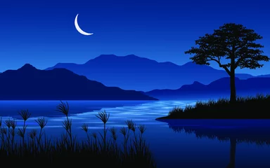 Wall murals Dark blue night landscape with lake and crescent moon