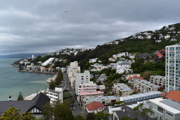 Fototapeta premium 海の見える丘