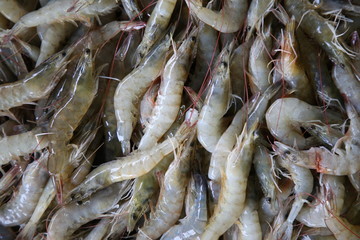 Shrimp Raw Seafood With Restaurant. Top View.