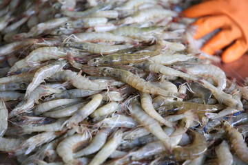 Shrimp Raw Seafood With Restaurant. Top View.
