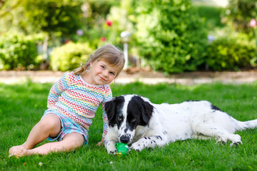 Naklejka na ściany i meble Cute little toddler girl playing with family dog in garden. Happy smiling child having fun with dog, hugging playing with ball. Happy family outdoors. Friendship between animal and kids
