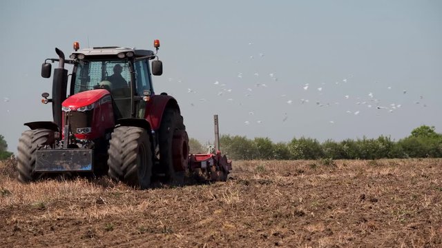 A red tractor ploughing a field while Seagulls fly around on a farm in Worcestershire, England, UK.