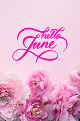 Hello June hand lettering card. Pink flowers on pink background.