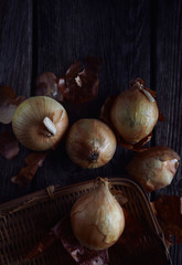 The onion on rusty wooden table