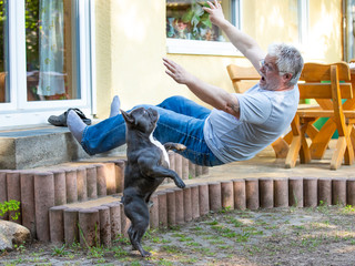 An older man has stumbled and falls down a flight of stairs. He wears glasses. His dog is watching....