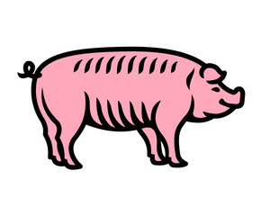 Pig vector isolated engraved style illustration. Pink and black on white.