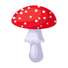 Amanita vector icon.Cartoon vector icon isolated on white background amanita.