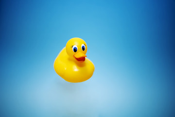 Yellow duck on the blue background. Swimming concept. Minimal idea. Copy space. Place for text and design.