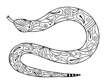 Hand drawn snake on a white isolated background. Coloring book for children and adults. Simple outline anti-stress drawing.