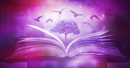 The concept of education by planting a tree of knowledge in the opening of an old book in the library and the magical magic of light that flies to the destination of success. Beautiful background