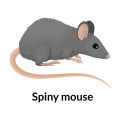 Mouse vector icon.Cartoon vector icon isolated on white background mouse.