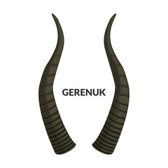 Horn gerenuk vector icon.Cartoon vector icon isolated on white background horn gerenuk.