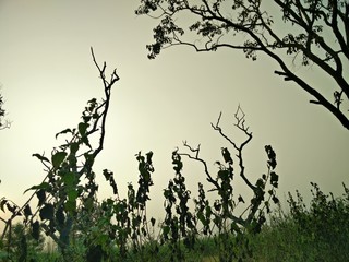 Dusky sky evening in india