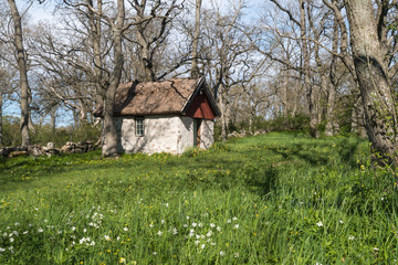 Fototapeta na wymiar Springtime by a sheep shed in a green meadow