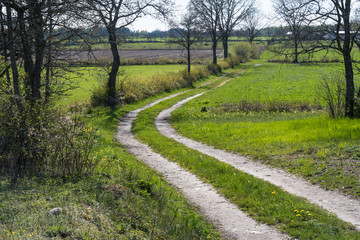 Winding country road by spring season