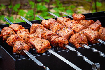 Homemade grilled pork kebab on an outdoor open grill. Outdoor food festival.