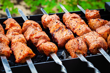 Homemade grilled pork kebab on an outdoor open grill. Outdoor food festival.