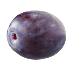 one plums isolated on white background.