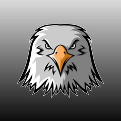 Eagle head mascot vector design