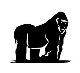 Gorilla silhouette on white background