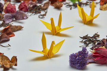 Origami crane and dry flowers, shallow depth of field