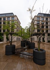 Frankfurt city architecture