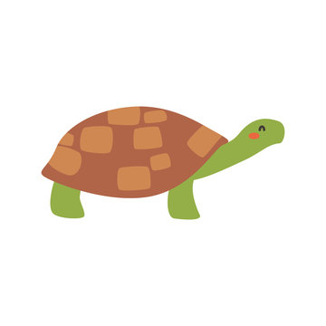Cartoon turtle. Cute Cartoon turtle, Vector illustration on a white background. Drawing for children