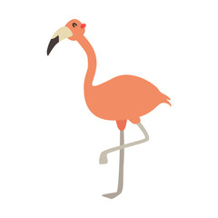 Cartoon flamingo. Cute Cartoon flamingo, Vector illustration on a white background. Drawing for children