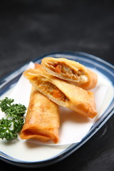 カレー春巻き