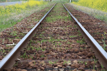 railway tracks in the countryside of japan 