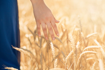concept - close up of young woman hand touching spikelets in cereal field. country, nature, summer holidays, agriculture and people