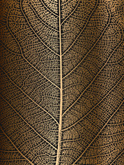 Distress tree leaves, leaflet texture on golden background. Black and white grunge background.